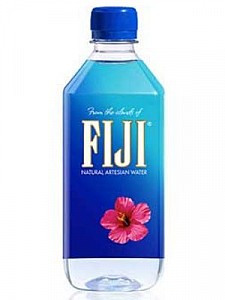 Fiji Water 24/500ml